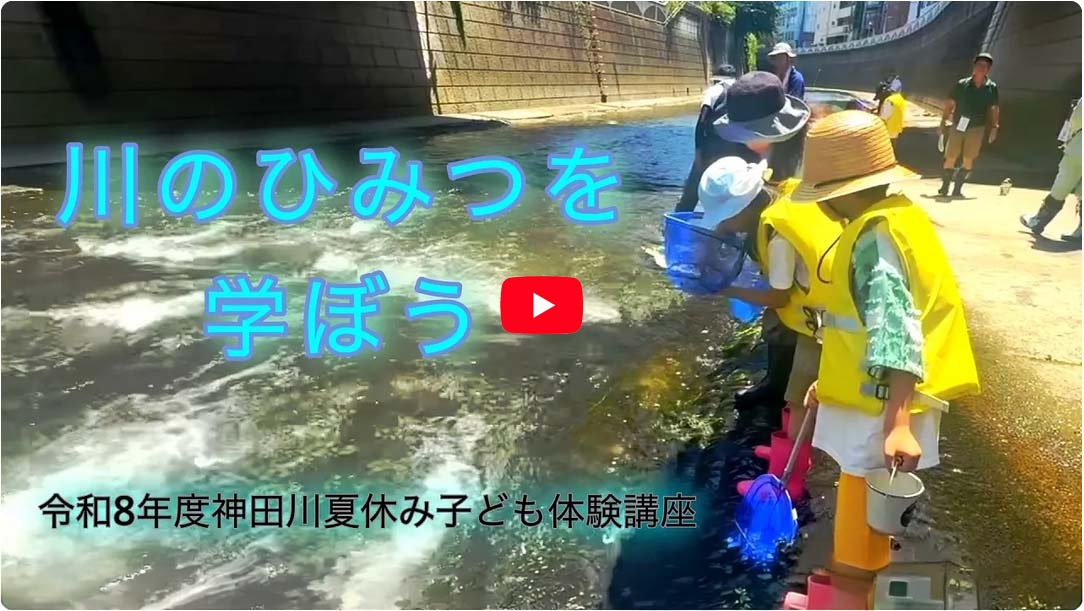 神田川の秘密をたのしく学ぼう